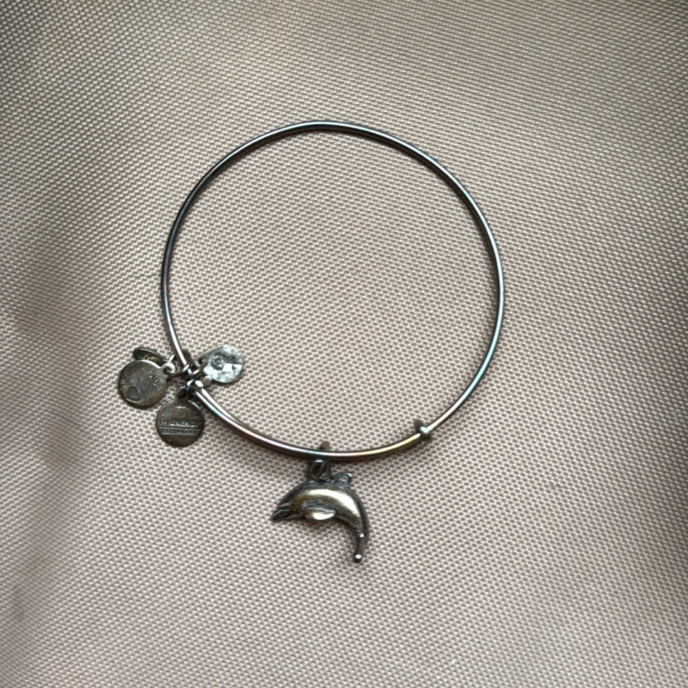 Alex and Ani silver dolphin bracelet ❗️bundle 3 for $15❗️